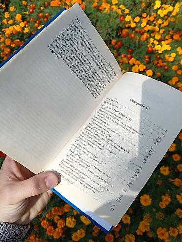 Книги и журналы: Русская литература, 11 класс, Новый, Платная доставка — 4