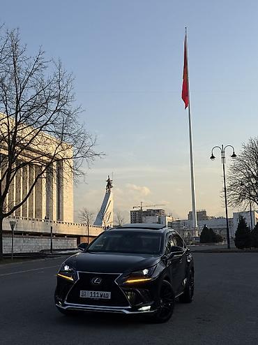 Lexus: Lexus NX: 2019 г., 2 л, Автомат, Бензин, Кроссовер — 1