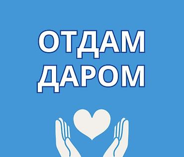 жардам берем: Отдам даром На изображении указано: «Отдам даром». Предлагается — 1