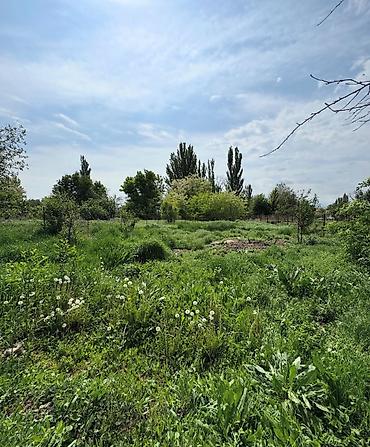 Продажа коттеджей и домов: 📍 В центре Сокулука (верхняя зона) продается дом на участке 8 соток — 5