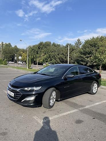 двигатель малибу 2 турбо: Chevrolet Malibu: 2019 г., 1.3 л, Автомат, Бензин, Седан — 1