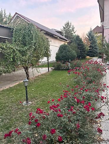 ищу квартиру в беловодске: 220 м², 5 комнат, Парам без детей — 4