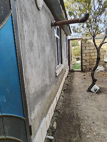 Uzunmüddətli kirayə evlər: 25 kv. m, 3 otaqlı, Qaz, Su, İnternet -da lalafo.az — 5 Uzunmüddətli kirayə evlər: 25 kv. m, 3 otaqlı, Qaz, Su, İnternet — 5