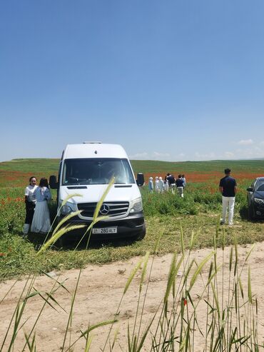 Другие услуги: СПРИНТЕР ДЕЛЬФИН НА ЗАКАЗ ГОРОД ОШ УЗГЕН ЗАКАЗ АЛАБЫЗ 16-18-МЕСТ at lalafo.kg — 5 Другие услуги: СПРИНТЕР ДЕЛЬФИН НА ЗАКАЗ ГОРОД ОШ УЗГЕН ЗАКАЗ АЛАБЫЗ 16-18-МЕСТ — 5