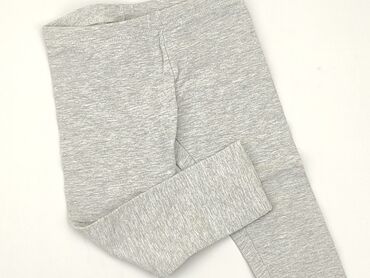 legginsy bawełniane gatta: Leggings for kids, Lupilu, 3-4 years, 98/104, condition - Very good