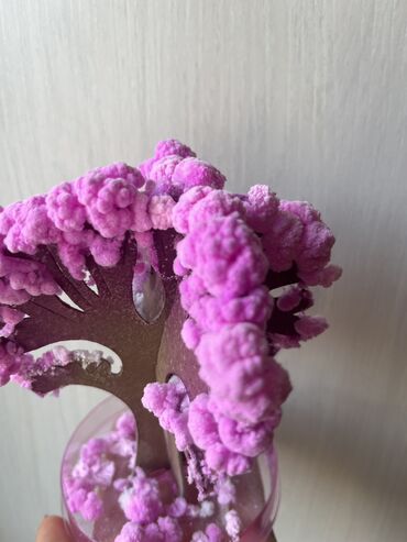 продаю статуэтки: Волшебная растущая бумажное дерево «цветущая Сакура». Настильное