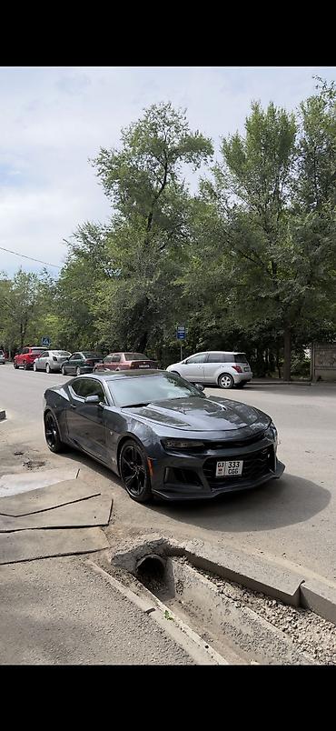 dodge challanger: Chevrolet Camaro: 2023 г., 2 л, Автомат, Бензин — 4