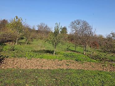 Su təchizatı: Sanitar-quraşdırma və hamam-tualet təmiri xidməti Təklif olunan — 88