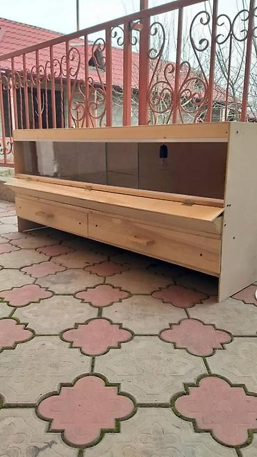 Птицы: Брудеры для цыплят. размеры 150 х 50 х 65 см. Яйцо Брама — 12