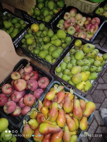 Продажа домов: Дом, 80 м², 8 комнат, Собственник, Старый ремонт at lalafo.kg — 9 Продажа домов: Дом, 80 м², 8 комнат, Собственник, Старый ремонт — 9