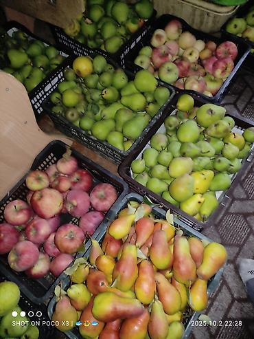 Продажа коттеджей и домов: Дом в ЧолпонАте р-он Хутор на участке более 10соток Продажа, два дома — 9