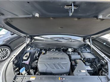 Hyundai: Hyundai Palisade: 2020 г., 2.2 л, Автомат, Дизель, Кроссовер — 6