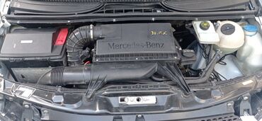 Mercedes-Benz: Mercedes-Benz Vito: 2.2 l | 2008 il Van/Minivan — 13