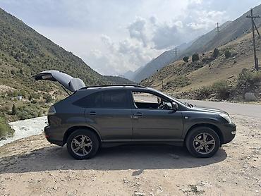Lexus: Lexus RX: 2004 г., 3 л, Типтроник, Бензин, Кроссовер — 13