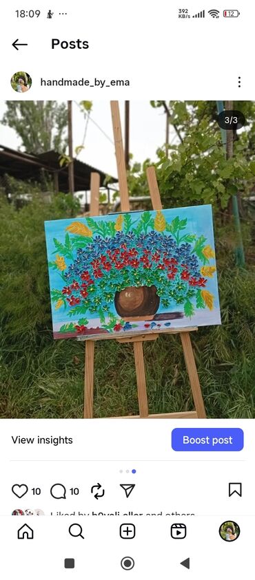 Şəkillər, tablolar: Əl işi 3D çiçək rəsm tabloları - Texnika: Akril boya və həcmi verən — 3