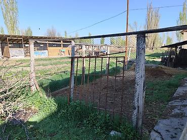 70 сом: Продаю участок с домом в с. Буденовка 20 соток 104м2+ хоз. постройки — 4