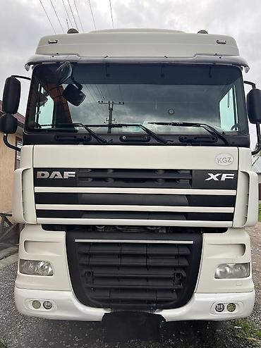 Тягачи: Тягач, DAF, 2013 г., Самосвал — 11