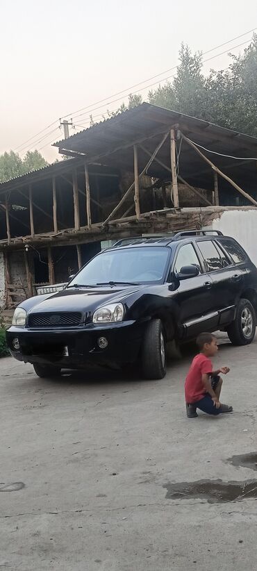 трос для машины цена: Hyundai Santa Fe: 2002 г., 2.4 л, Автомат, Бензин, Внедорожник