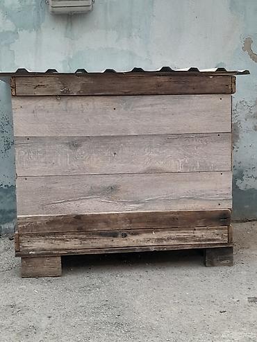 papuqay type 1: Əla veziyyətdədir möhkəmdir 14 16 quşluq üçün əladir qiymətlə — 4