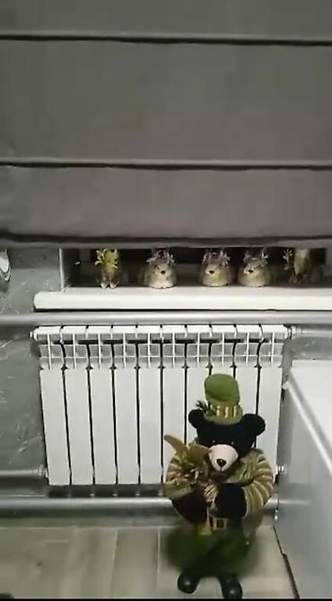 Продажа коттеджей и домов: 1,4 доля.Два дома на участке, один 70 кв. другой 100 . Евросостояние — 15