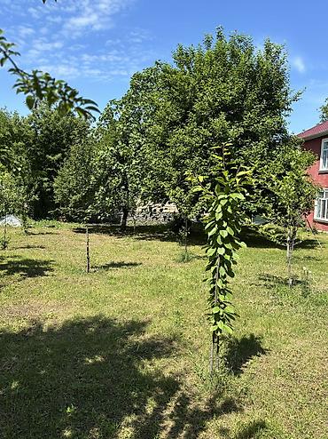 Günlük kirayə evlər: 150 kv. m, 2 otaqlı -da lalafo.az — 10 Günlük kirayə evlər: 150 kv. m, 2 otaqlı — 10