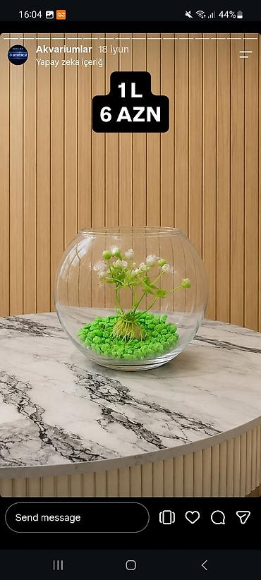 akvarium balıqlar: Yumru akvarium, Boş, 1 l — 7