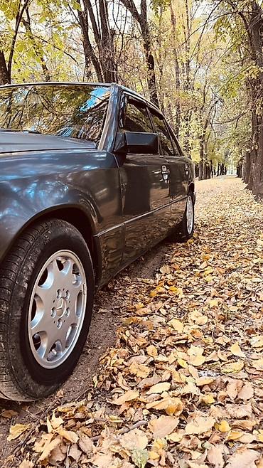 mersedes e220: Mercedes-Benz W124: 1994 г., 2 л, Механика, Бензин, Седан — 2