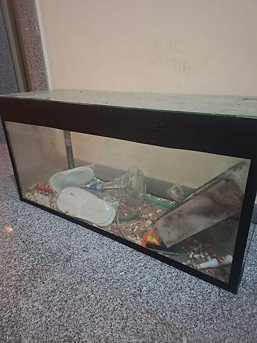 akvarum matoru: Akvarium şüşə tank satilir. Isteyen elaqe saxlasin. Unvan Baki — 3