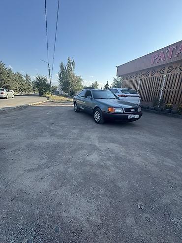 e53 amg: Audi 100: 1993 г., 2 л, Механика, Бензин, Седан — 4