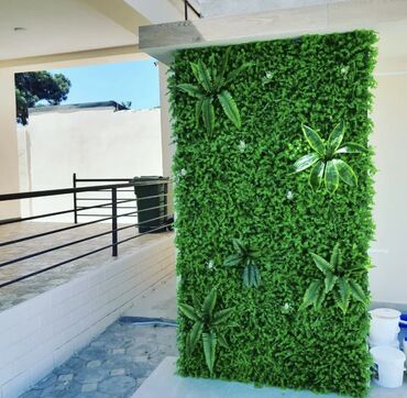 Toxumlar: 10 azn başlayan qiymətlər Suni qazon depodan bi̇r başa satişdir — 5