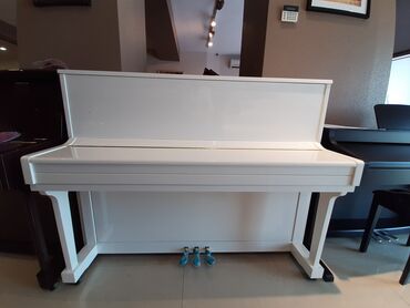 piano royal: Пианино, Новый, Бесплатная доставка