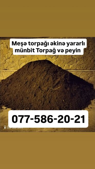 Uzunmüddətli kirayə mənzillər: Qara torpaq PEYİN əkinə yararlı torpaq