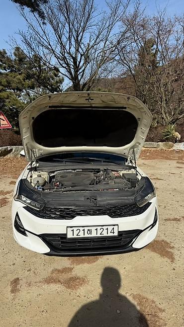 Kia: Kia K5: 2021 г., Бензин, Фастбек — 24