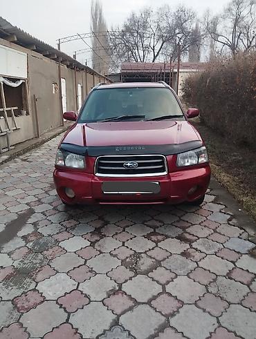 Subaru: Subaru Forester: 2002 г., 2 л, Автомат, Бензин, Универсал — 10