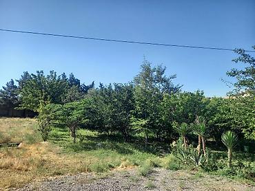 şamaxı ev satışı: Novxanı, 440 kv. m, 6 otaqlı, Hovuzsuz, İnternet, Telefon, Qaz — 1