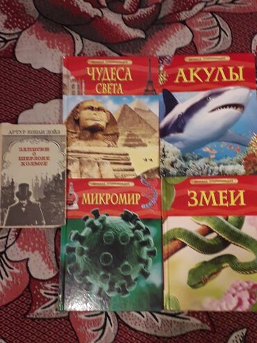 английский язык 5 класс рабочая тетрадь фатнева гдз: Книги от 50 до 100 сом