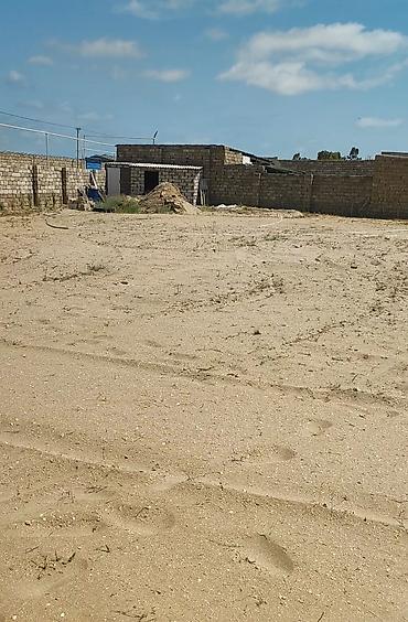 türkanda ev: 12 sot, Mülkiyyətçi, Kupça (Çıxarış) — 5
