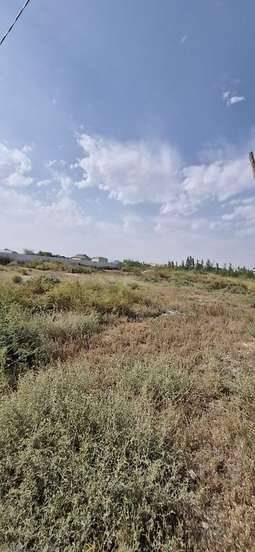 Torpaq sahələrinin satışı: Tikinti -da lalafo.az — 1 Torpaq sahələrinin satışı: Tikinti — 1