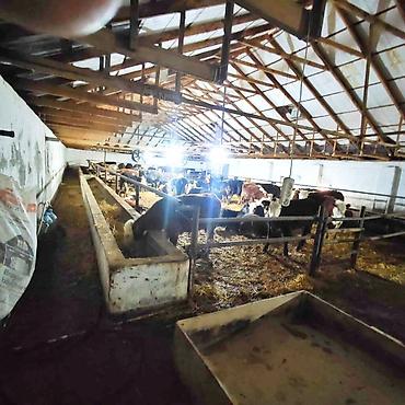 İcarəyə binalar: Ferma və təsərrüfat kompleksi 📍Ünvan : Ağsu rayonu • Sahə : 85 sot • — 16