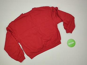 bluza argentyna: Bershka, Bluza damska
, rozmiar L — 3