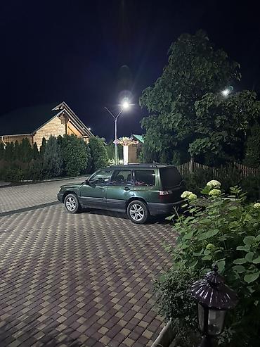 Продажа авто: Subaru Forester: 2001 г., 2 л, Механика, Бензин, Универсал — 4