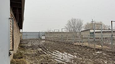 Продажа коттеджей и домов: 📌СРОЧНО ПРОДАЕТСЯ ДОМ с готовым БИЗНЕСОМ 🔥🔥🔥 🟡 ДОМ + МАГАЗИН +БАНЯ + — 18