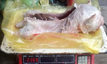 ысык куле: Мясо нутрии- 600 сом- за 1кг тушки от 2 кг до 6 кг. На заказ!!! — 2