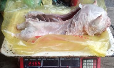 мясо цена за кг бишкек: Мясо нутрии за 1 кг. тушки от 2 кг до 3кг можно на племя за 1кг