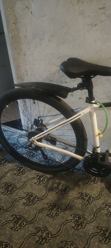 Şəhər velosipedləri: Dağ velosipedi 29"