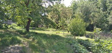 Torpaq sahələrinin satışı: 10 sot, Tikinti, Mülkiyyətçi, Kupça (Çıxarış) — 23