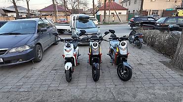 скутер самурай ош: Модели скутеров в продаже в рассрочку: Samurai 150 куб Maxi 150 куб — 10