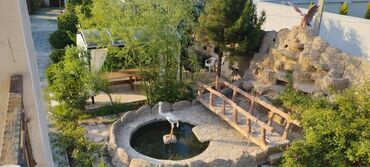 Земельные участки: 300 м², 8 комнат
