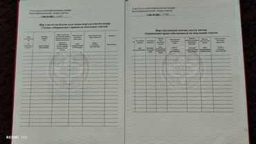 калдым ордо: 4 соток, Курулуш, Кызыл китеп, Техпаспорт