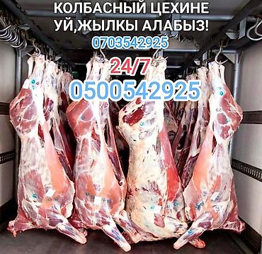 гуси утки: Колбасный цех : Коровы, быки, | Круглосуточно — 1